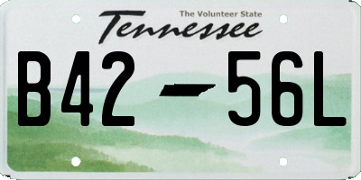 TN license plate B4256L