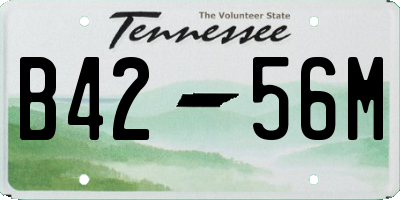 TN license plate B4256M