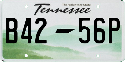 TN license plate B4256P