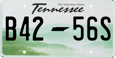 TN license plate B4256S