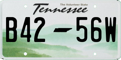 TN license plate B4256W