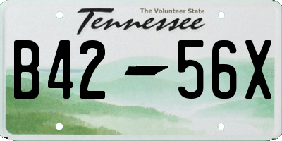 TN license plate B4256X