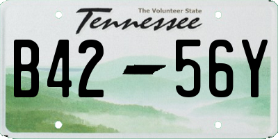 TN license plate B4256Y