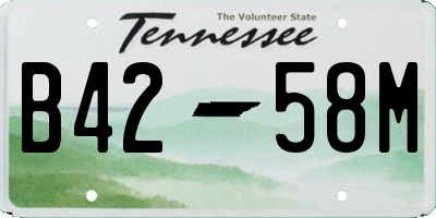 TN license plate B4258M