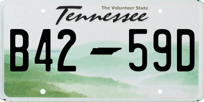 TN license plate B4259D