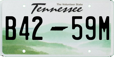 TN license plate B4259M