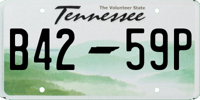 TN license plate B4259P
