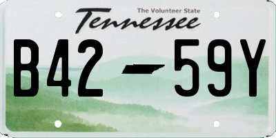 TN license plate B4259Y