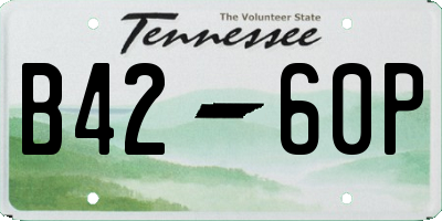TN license plate B4260P