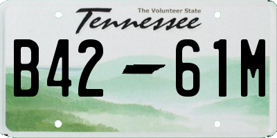 TN license plate B4261M