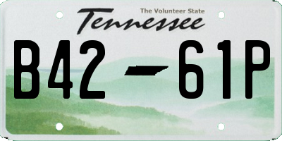 TN license plate B4261P