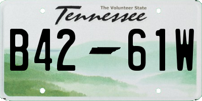 TN license plate B4261W