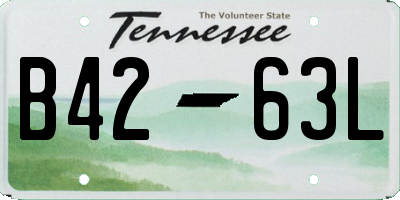 TN license plate B4263L