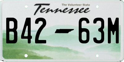 TN license plate B4263M
