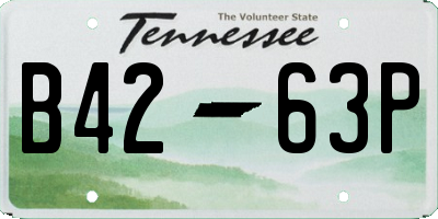 TN license plate B4263P