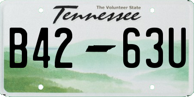 TN license plate B4263U