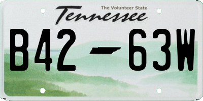 TN license plate B4263W