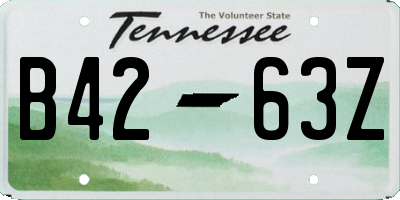 TN license plate B4263Z