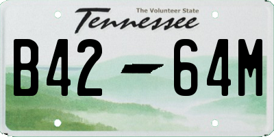 TN license plate B4264M