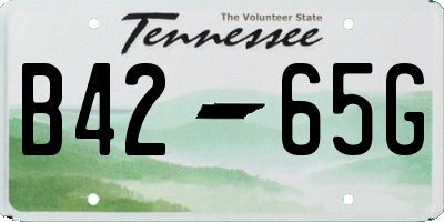 TN license plate B4265G