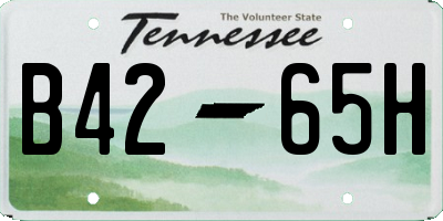 TN license plate B4265H
