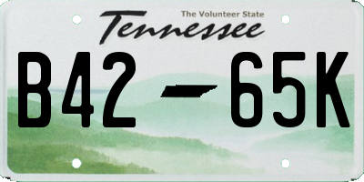 TN license plate B4265K