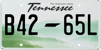TN license plate B4265L