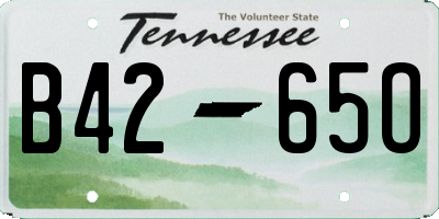 TN license plate B4265O