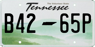 TN license plate B4265P