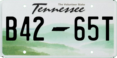 TN license plate B4265T