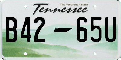 TN license plate B4265U