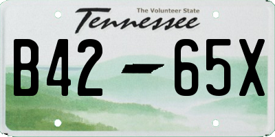 TN license plate B4265X