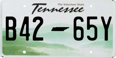TN license plate B4265Y