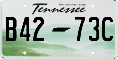 TN license plate B4273C