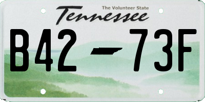 TN license plate B4273F