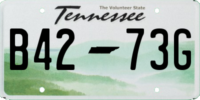 TN license plate B4273G