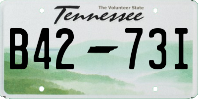 TN license plate B4273I