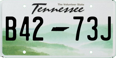 TN license plate B4273J