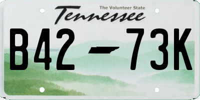 TN license plate B4273K