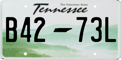 TN license plate B4273L