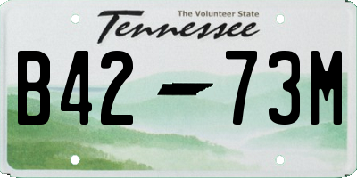 TN license plate B4273M
