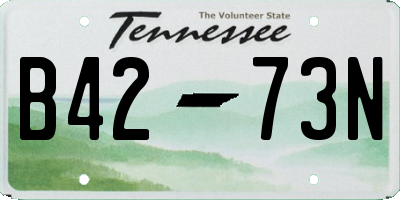 TN license plate B4273N