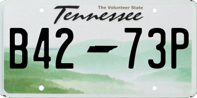 TN license plate B4273P
