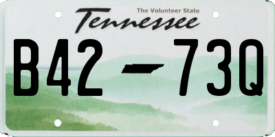 TN license plate B4273Q