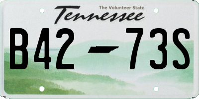 TN license plate B4273S