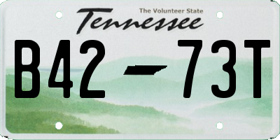 TN license plate B4273T