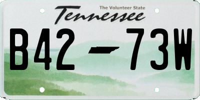 TN license plate B4273W