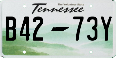 TN license plate B4273Y