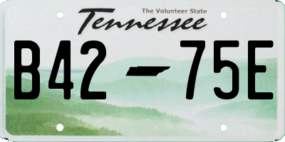 TN license plate B4275E