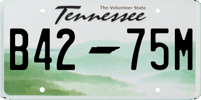 TN license plate B4275M